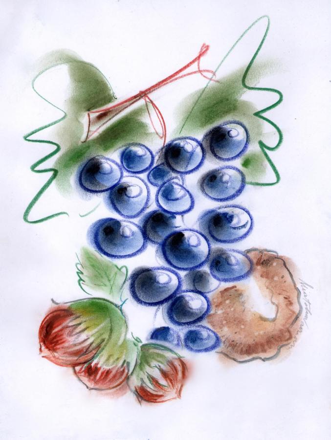 Agriturismo Tre Stelle Barbaresco Zewnętrze zdjęcie