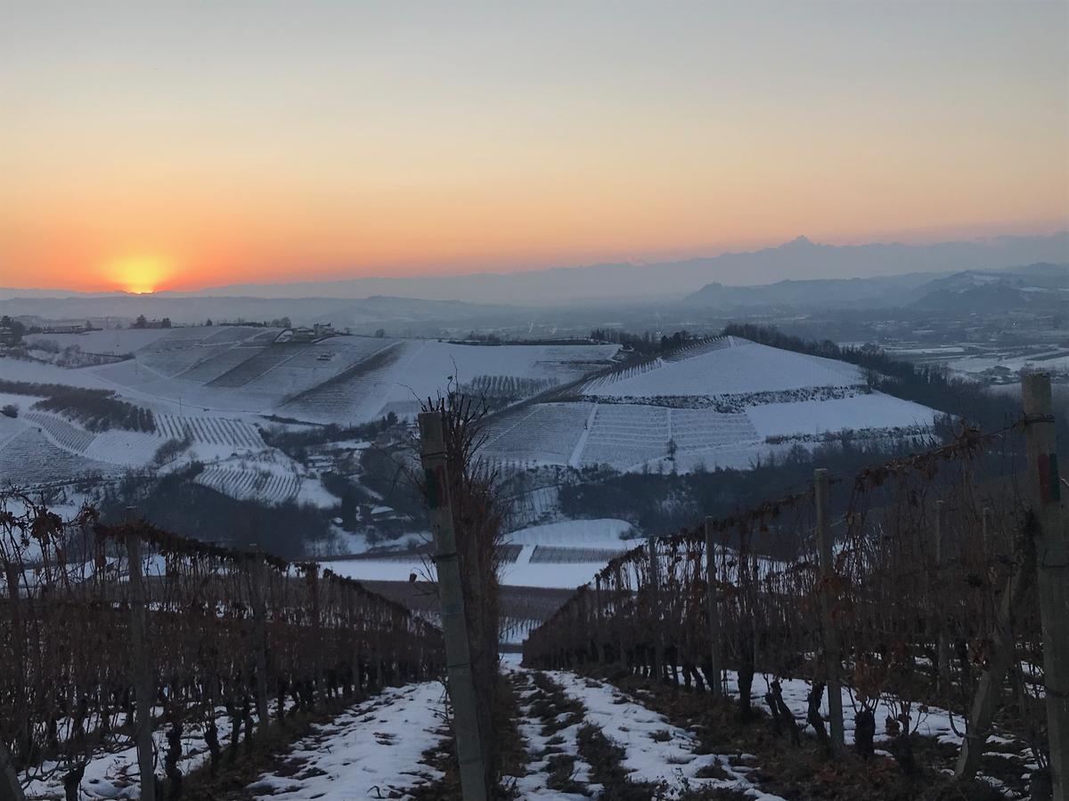 Agriturismo Tre Stelle Barbaresco Zewnętrze zdjęcie